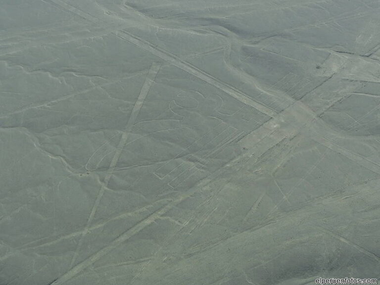 geoglifos de nazca 036